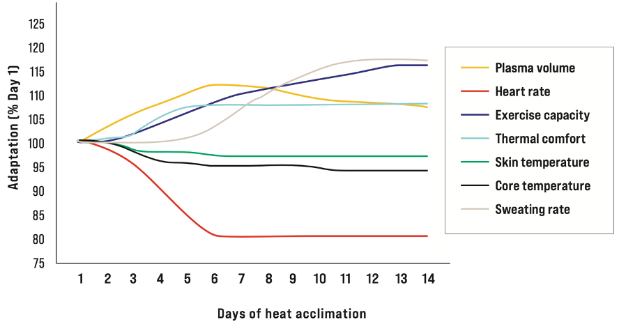 Time course of adaptations from heat acclimation